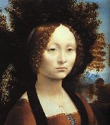  Leonardo  Da Vinci Portrait of Ginerva de'Benci China oil painting reproduction